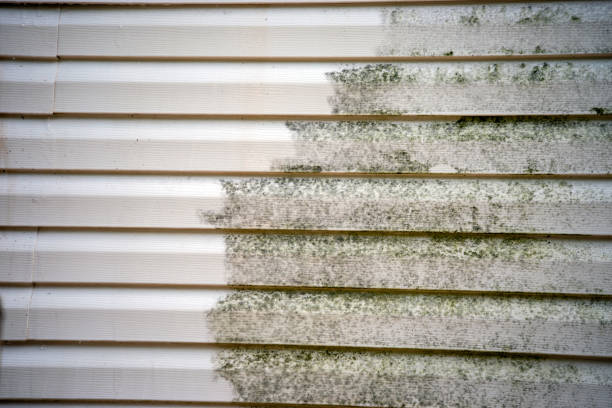 Best Custom Trim and Detailing for Siding  in Norfolk, VA