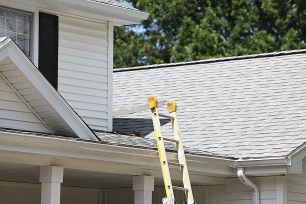 Best Wood Siding Installation  in Norfolk, VA